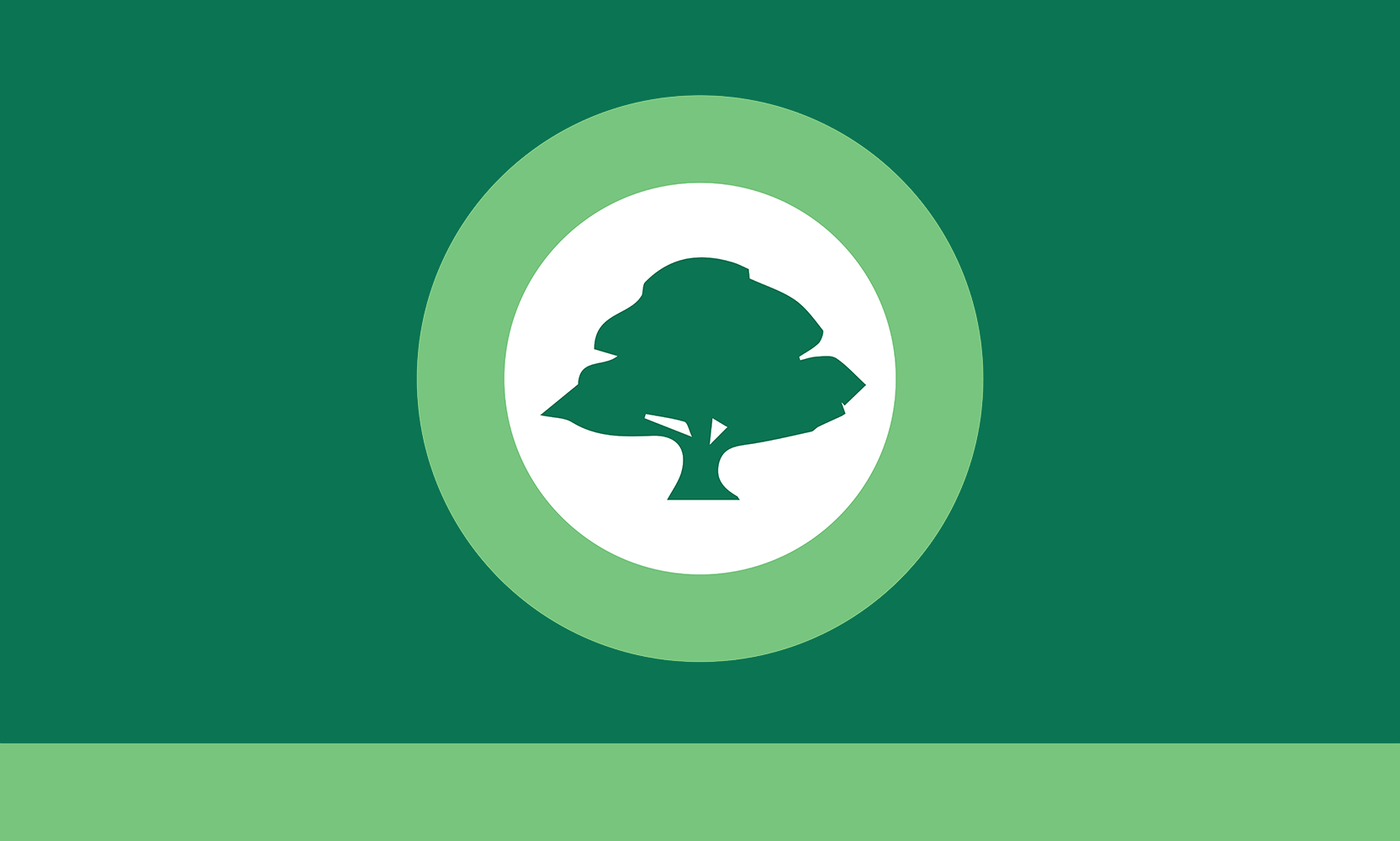 Oakdale Flag Redesign